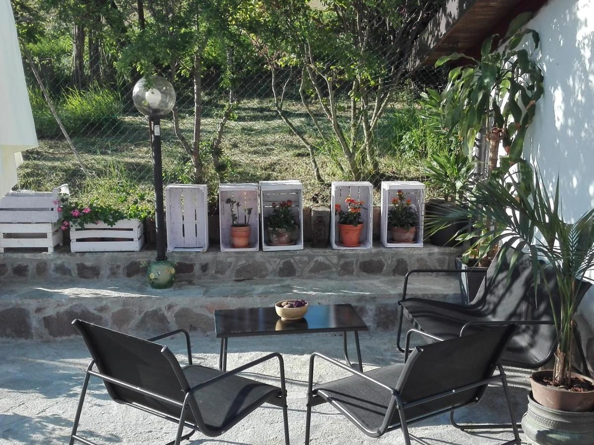 La Casa Nel Sole Apartment Alessandria Ngoại thất bức ảnh