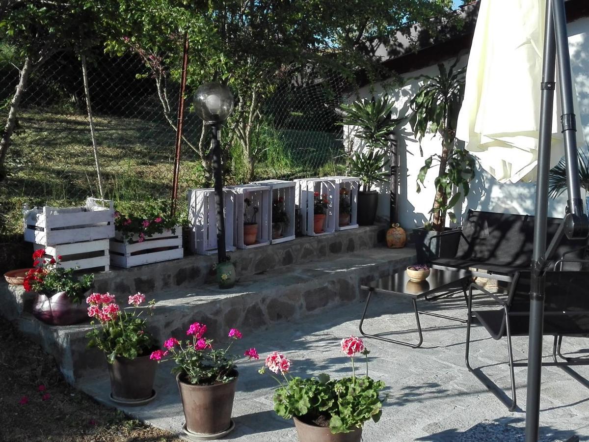 La Casa Nel Sole Apartment Alessandria Ngoại thất bức ảnh